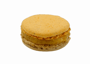 MACARON NONETTE DE DIJON copie MACARON NONETTE DE DIJON copie